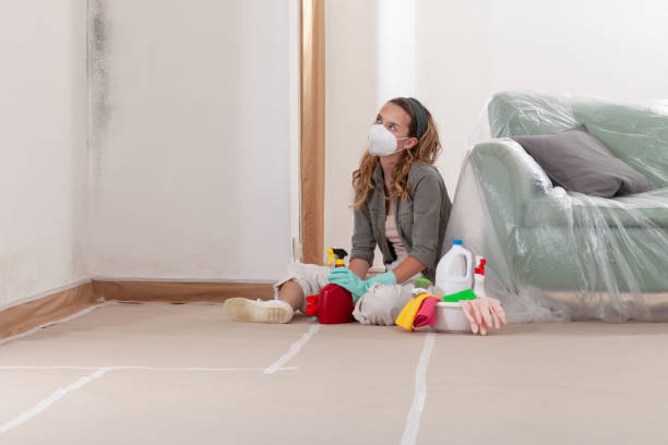 Reliable Black Mold Removal contractor in Unionville, TN by WQB Mold Removal